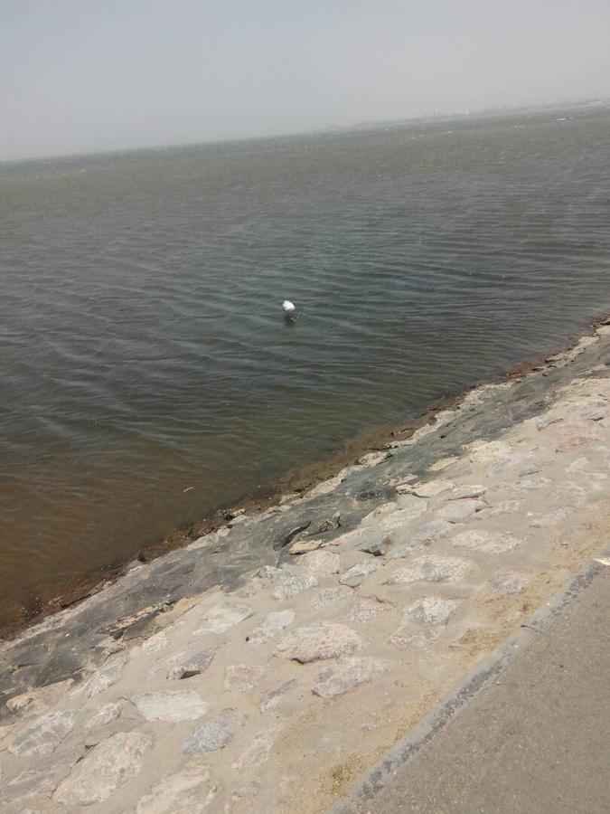 Elilo Bed And Breakfast Walvis Bay Exterior foto